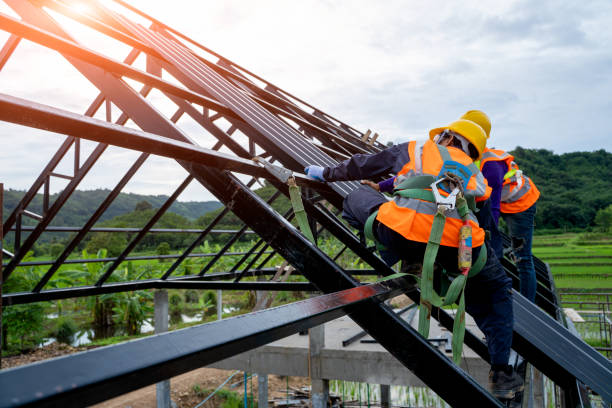 Best Local Roofing Companies  in Leland Grove, IL