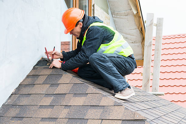 Best Metal Roofing Contractor  in Leland Grove, IL