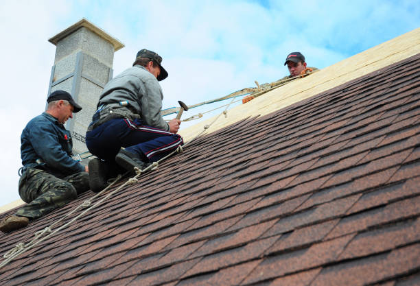 Best Metal Roofing Contractor  in Leland Grove, IL